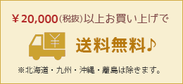 5000円以上のお買い上げで送料無料